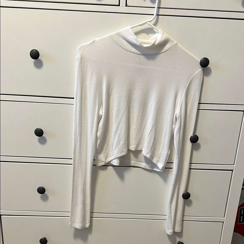 Aritzia Cropped Turtleneck